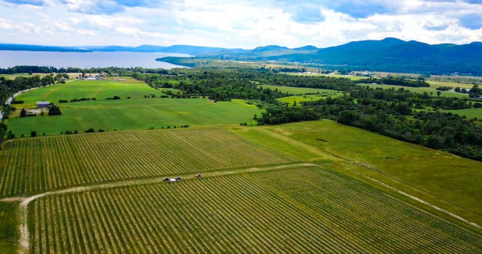 16 Mejores Cosas para Hacer en Plattsburgh, Nueva York (¡y Cerca!)