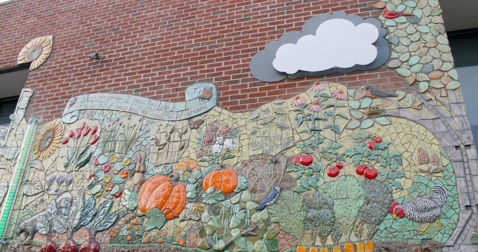 Top Attractions in Plattsburgh: Local Spots, Views & More